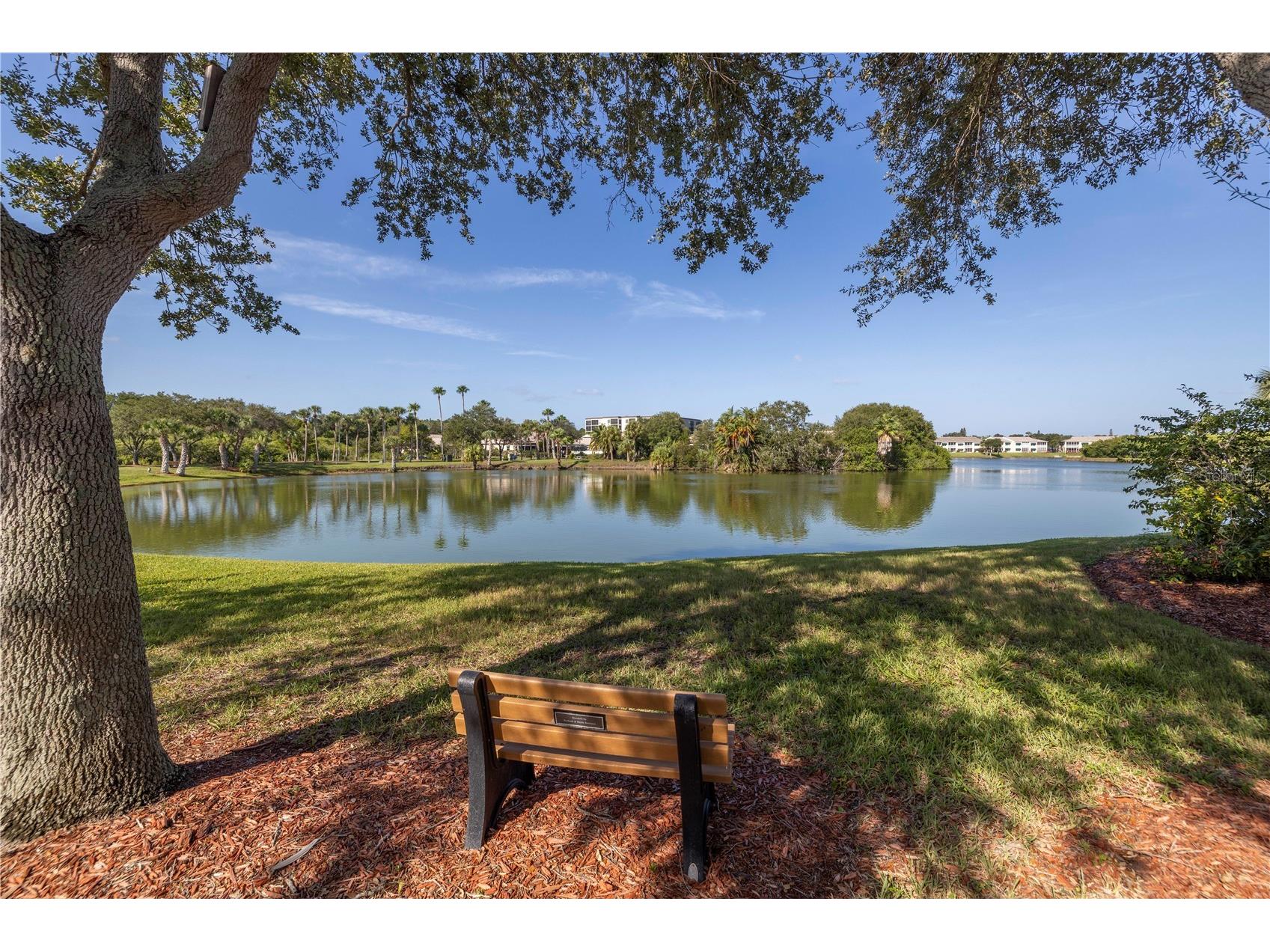6399 Shoreline Drive #4201 Saint Petersburg FL 33708 - LONG BAYOU TB8405733 image42