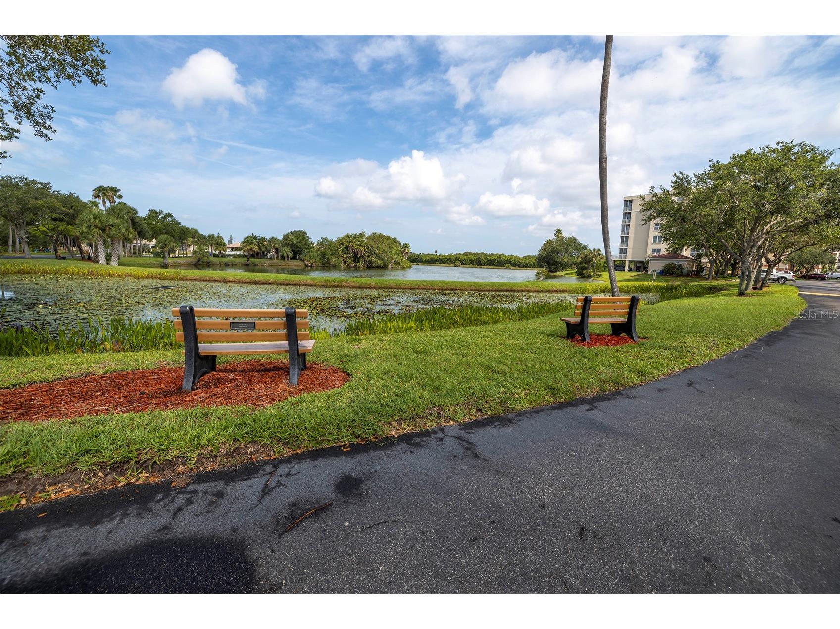 6399 Shoreline Drive #4201 Saint Petersburg FL 33708 - LONG BAYOU TB8405733 image43