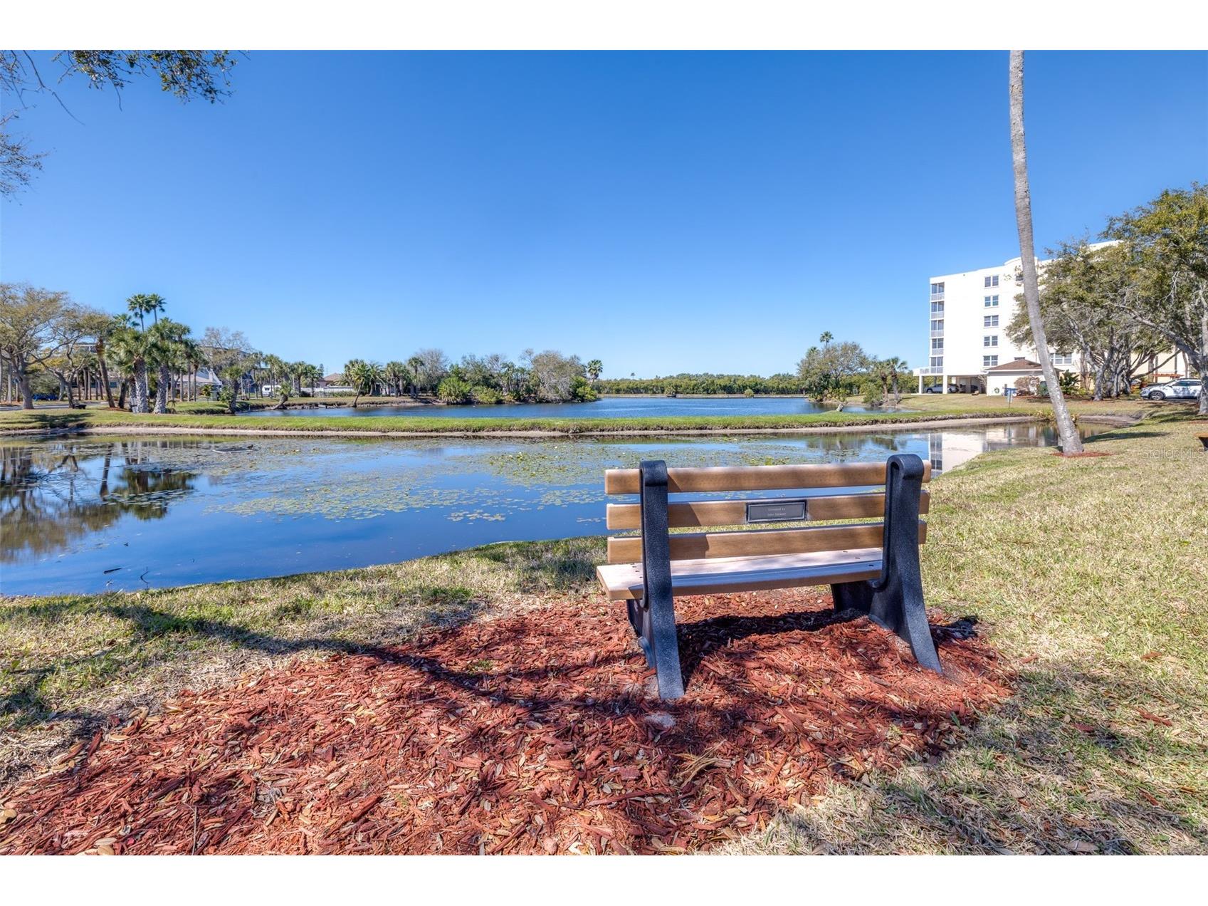 6399 Shoreline Drive #4206 Saint Petersburg FL 33708 TB8480786 image40