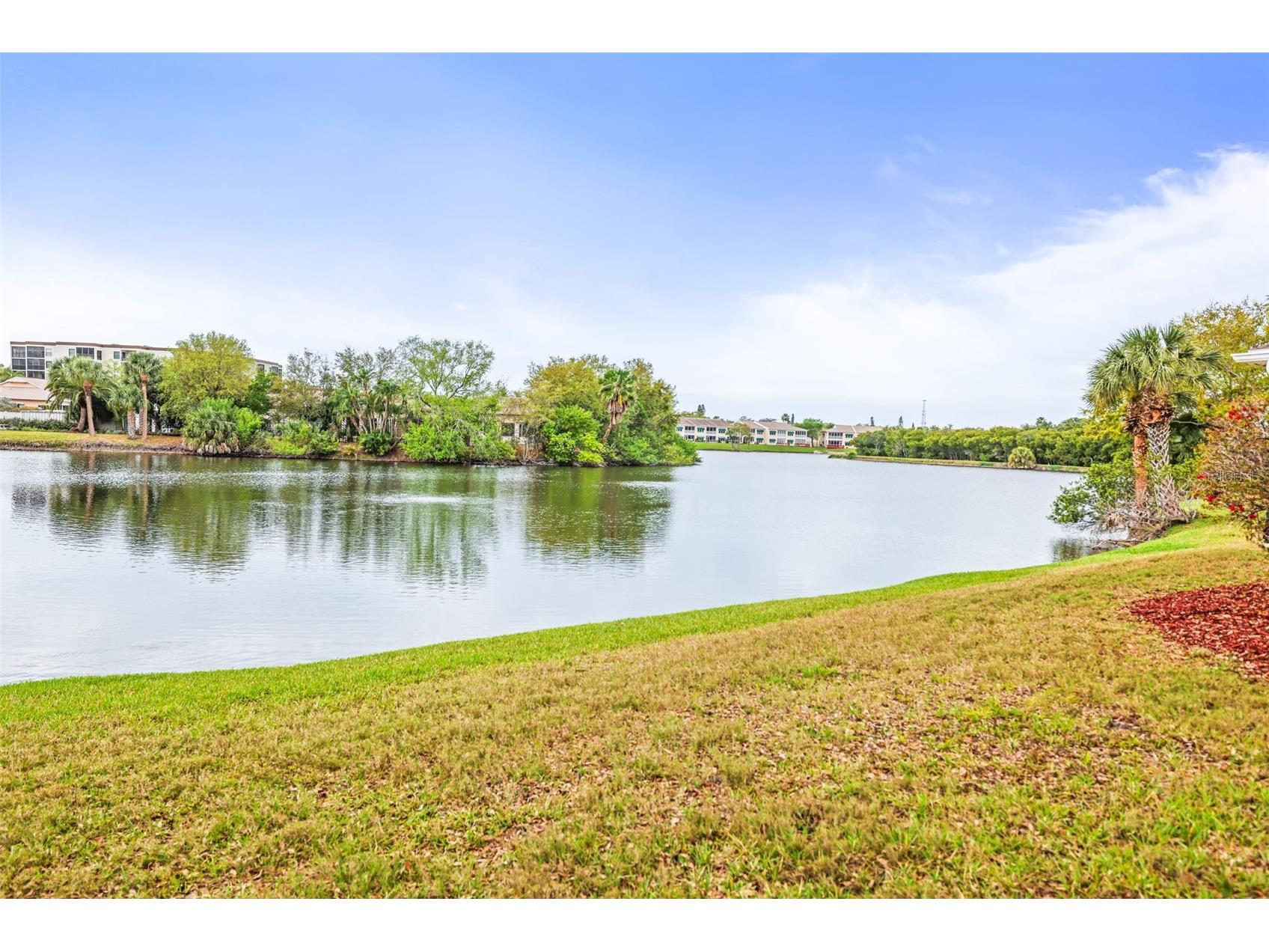 6399 Shoreline Drive #4305 Saint Petersburg FL 33708 TB8487022 image36