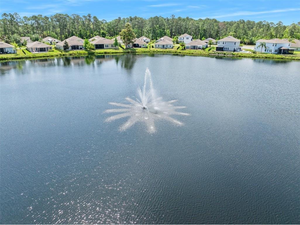 64 Coastal Hammock Way Saint Augustine FL 32086 V4942273 image45