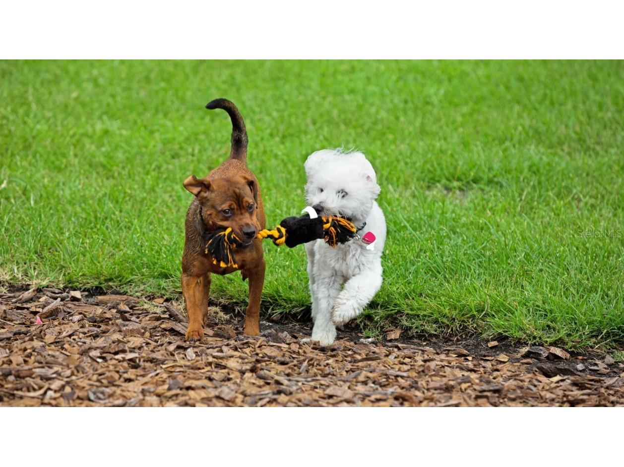 64 Enclave Avenue Palm Coast FL 32164 O6335720 image22