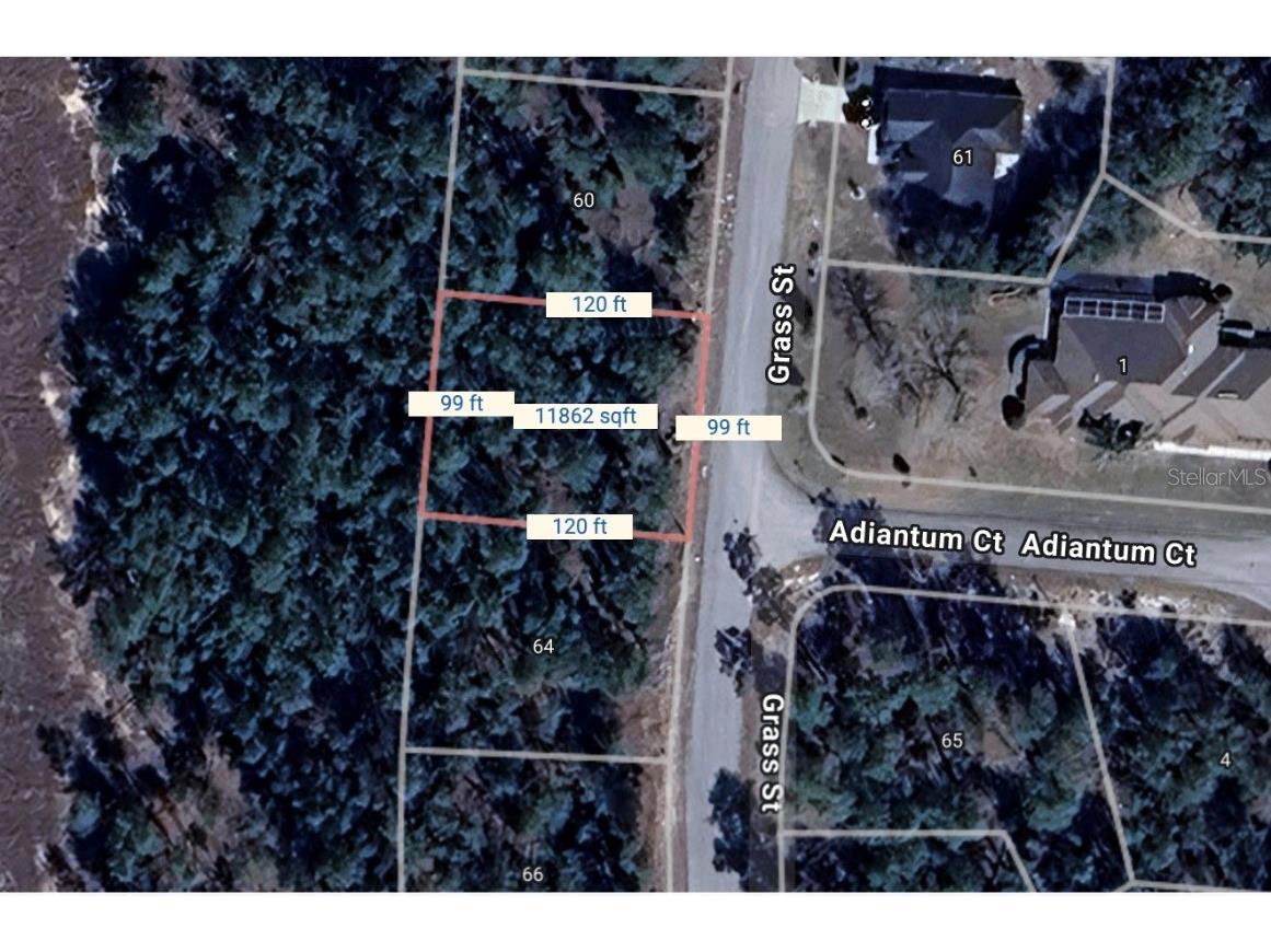 64 Grass Street Homosassa FL 34446 O6309834 image1