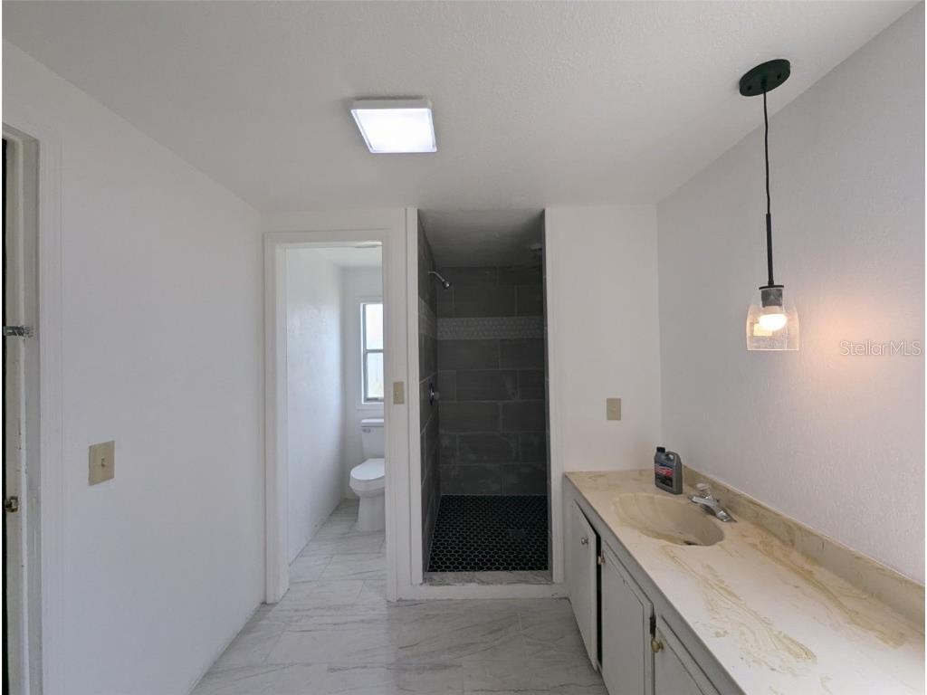 64 Hog Road Avon Park FL 33825 TB8398688 image6