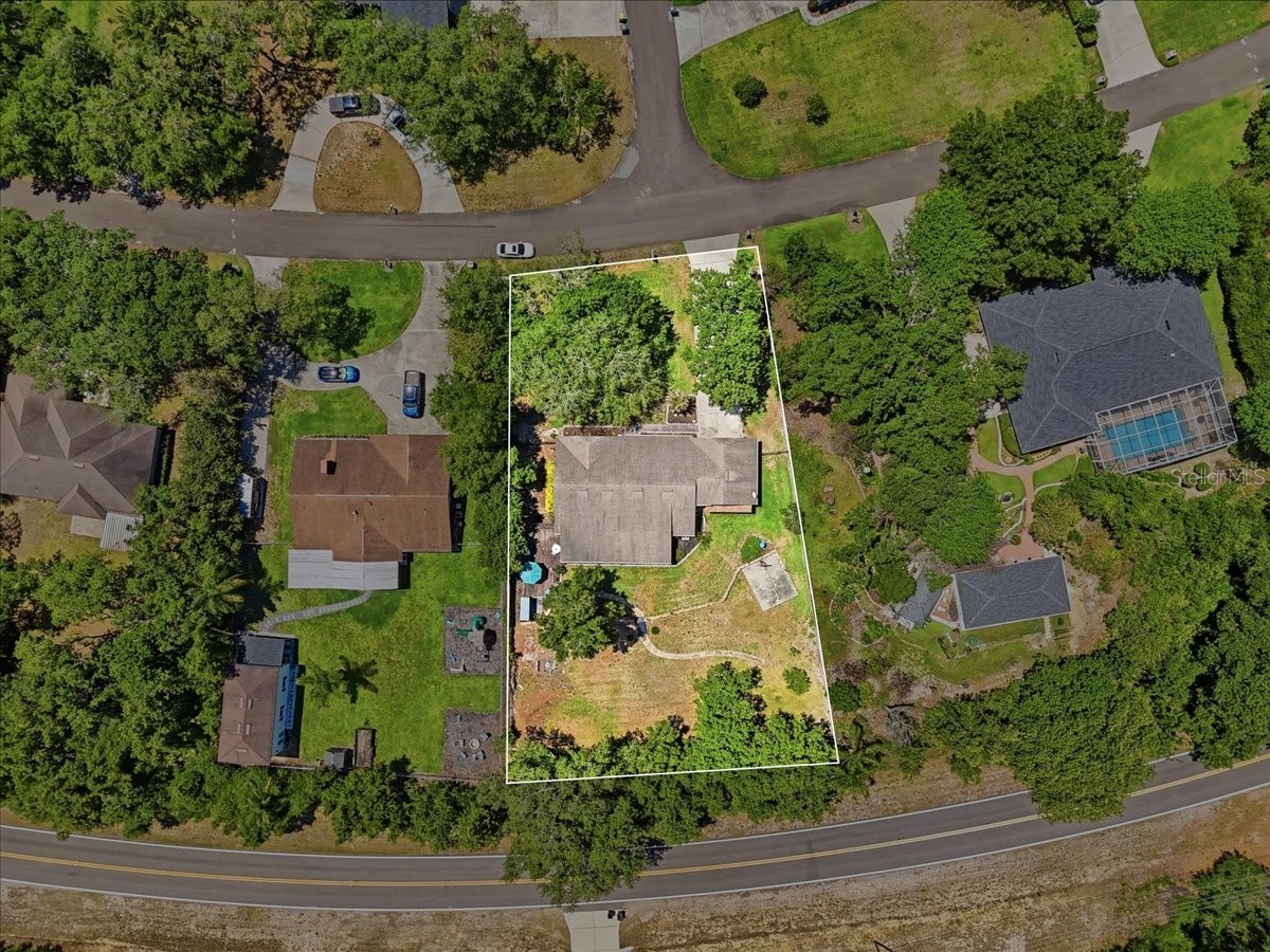 64 Pine Forest Drive Haines City FL 33844 L4959617 image81
