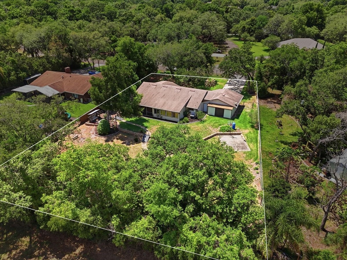 64 Pine Forest Drive Haines City FL 33844 L4959617 image82