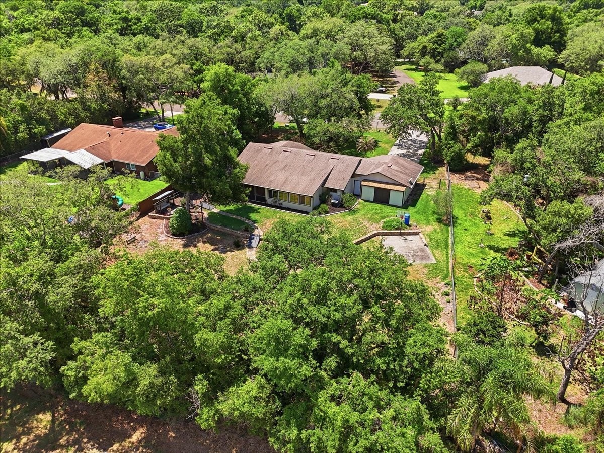 64 Pine Forest Drive Haines City FL 33844 L4959617 image83