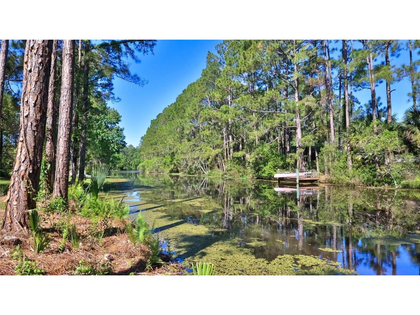 64 Whittington Drive Palm Coast FL 32164 FC311508 image1