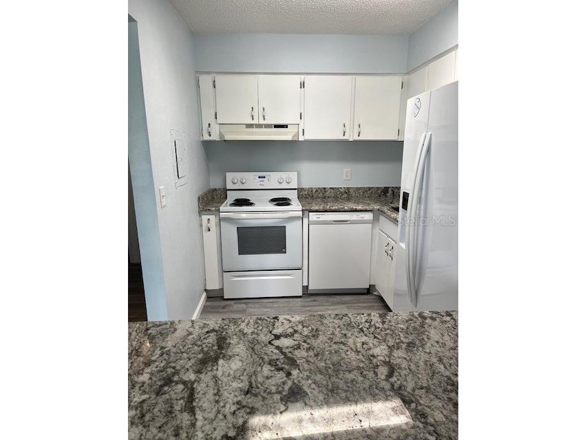640 Haven Place #640 Tarpon Springs FL 34689 TB8491930 image6