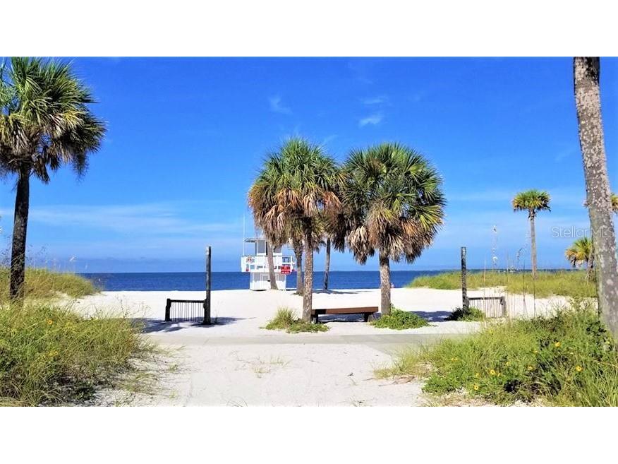 640 Kenneth Way Tarpon Springs FL 34689 TB8433663 image78