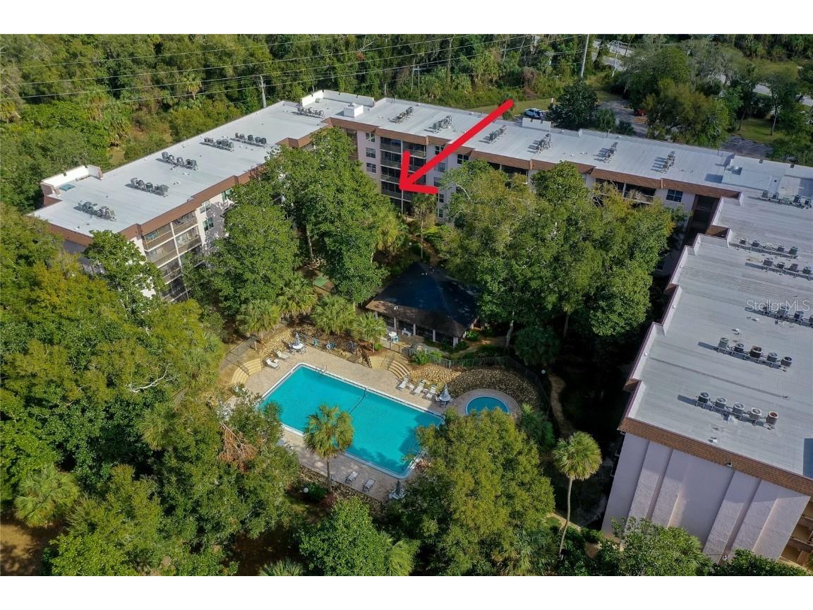 640 N Nova Road #212 Ormond Beach FL 32174 FC306005 image1