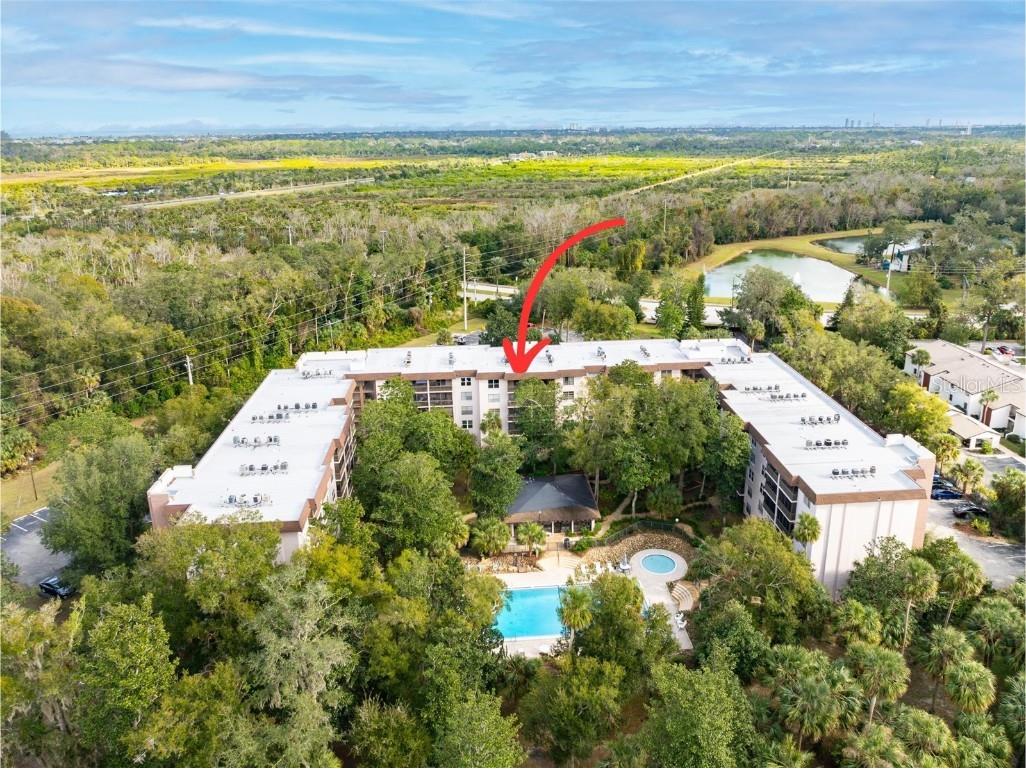 640 N Nova Road #510 Ormond Beach FL 32174 O6266890 image1