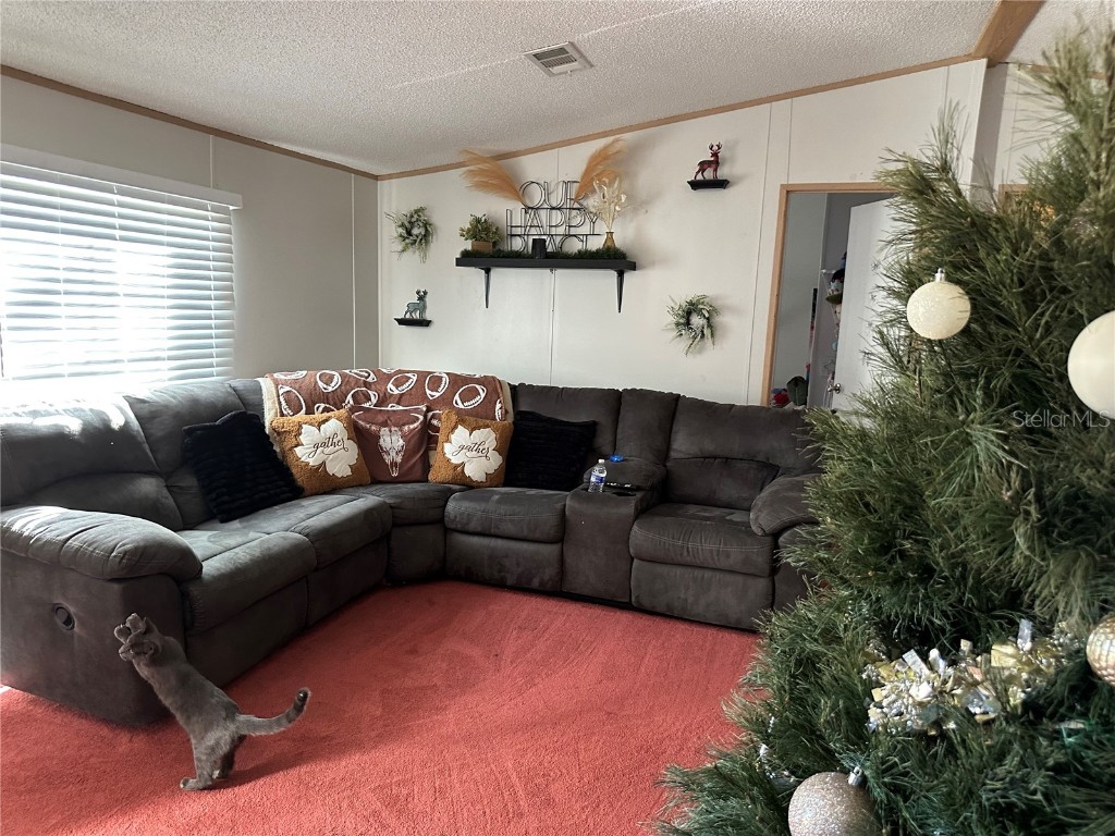 640 SE 10th Street Williston FL 32696 OM714976 image2