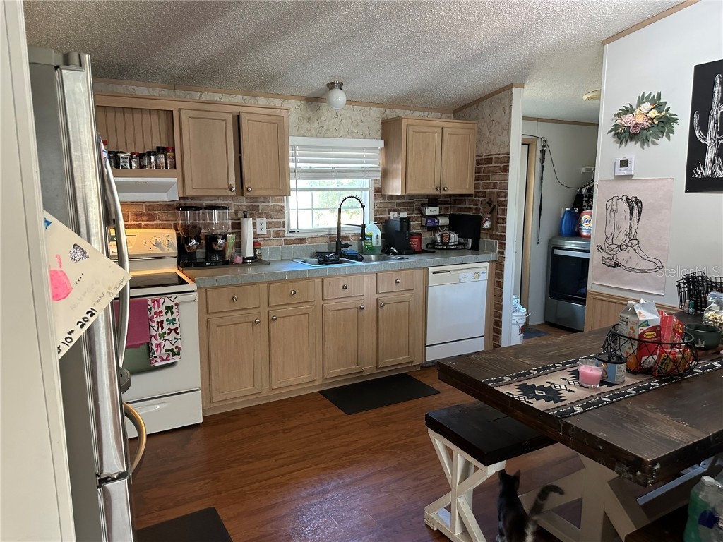 640 SE 10th Street Williston FL 32696 OM714976 image6