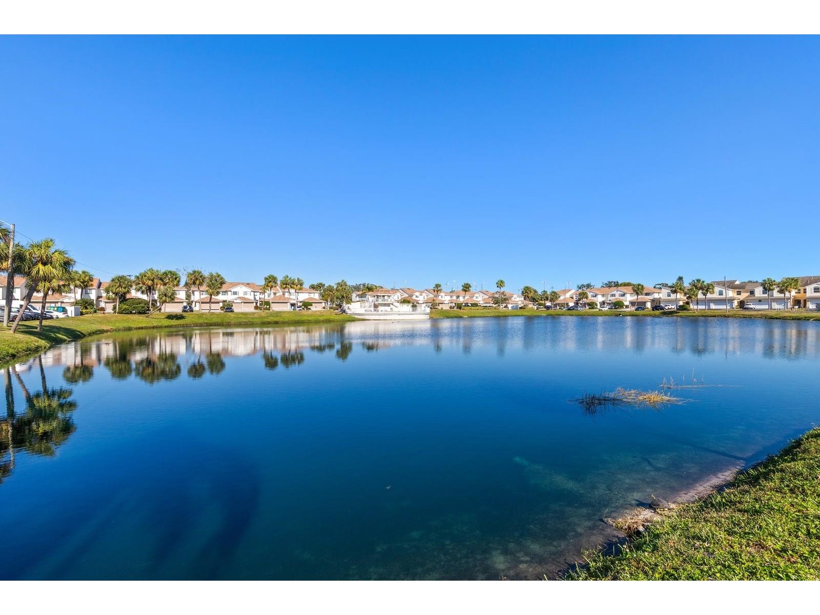 6400 46th Avenue N #119 Kenneth City FL 33709 TB8464232 image22