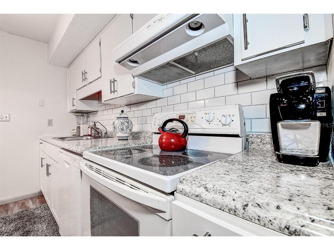 6400 46th Avenue N #307 Kenneth City FL 33709 TB8347625 image9