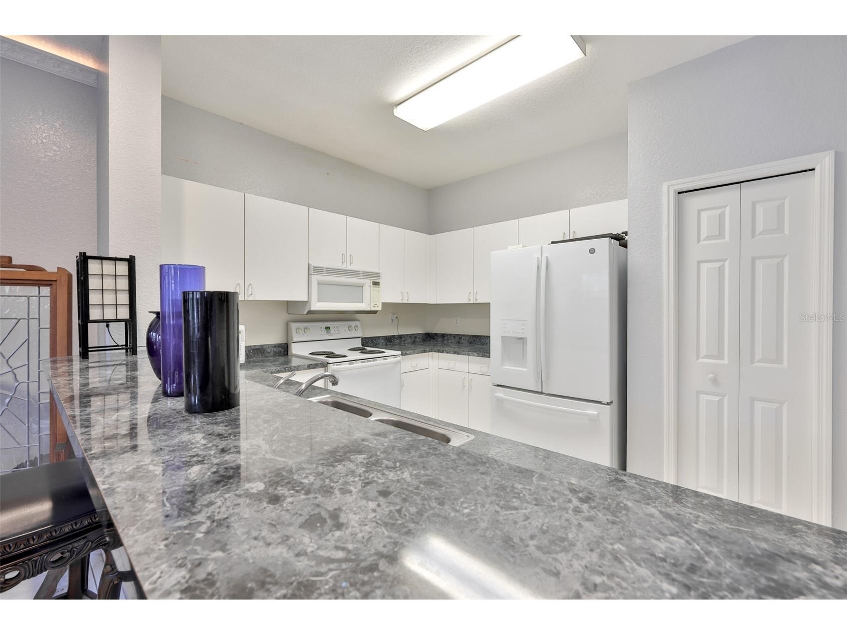 6400 46th Avenue N #71 Kenneth City FL 33709 TB8495836 image10