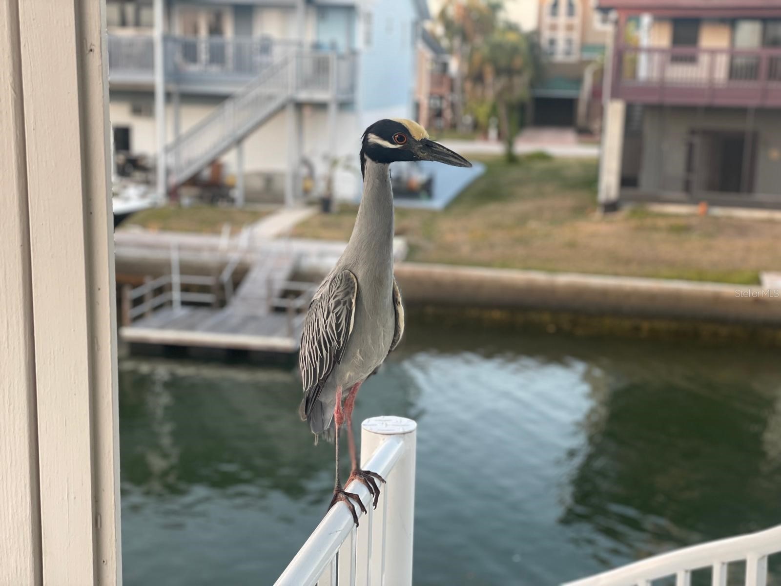 6400 Driftwood Drive Hudson FL 34667 TB8429263 image88