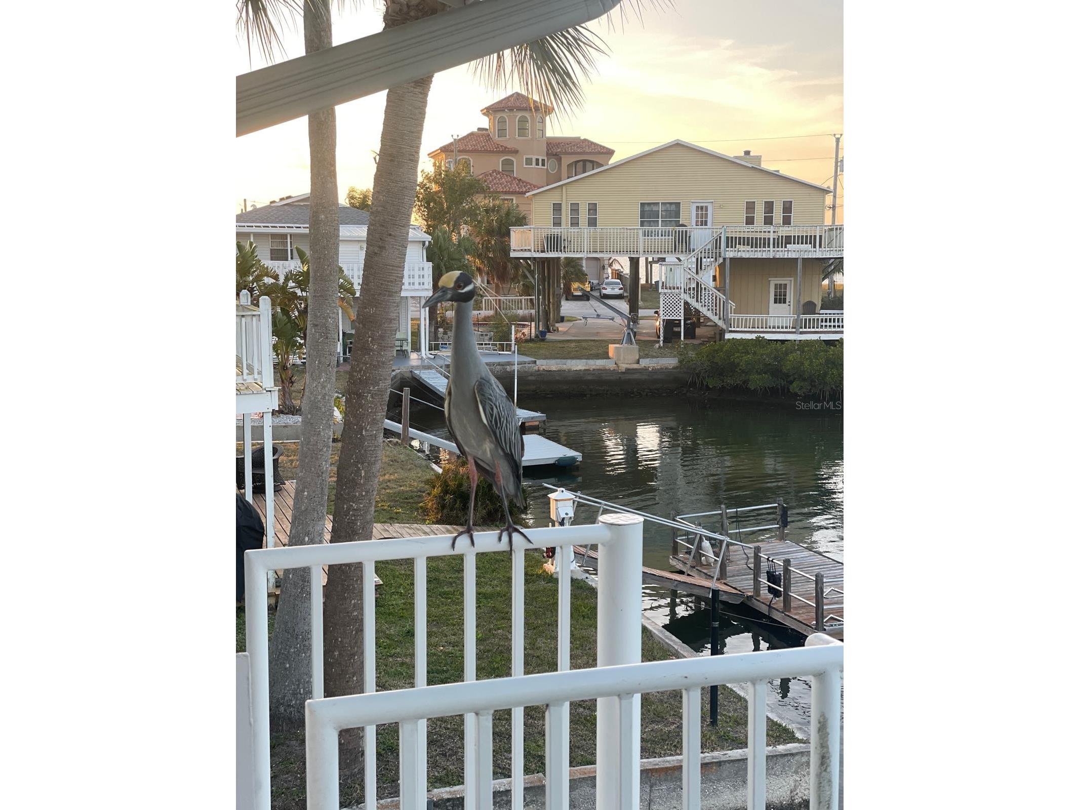 6400 Driftwood Drive Hudson FL 34667 TB8429263 image90