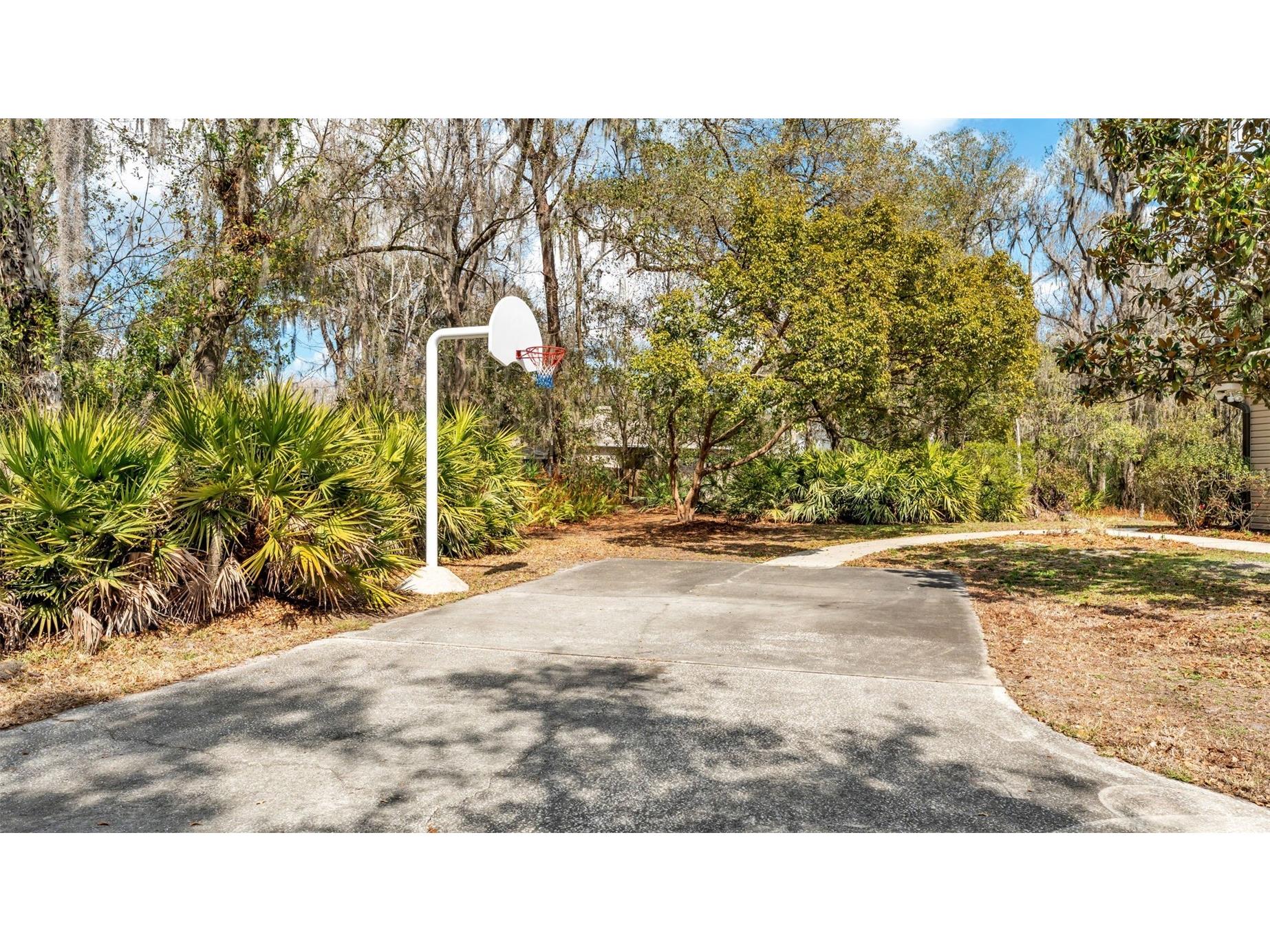 6400 Forestwood Drive E Lakeland FL 33811 L4959615 image50