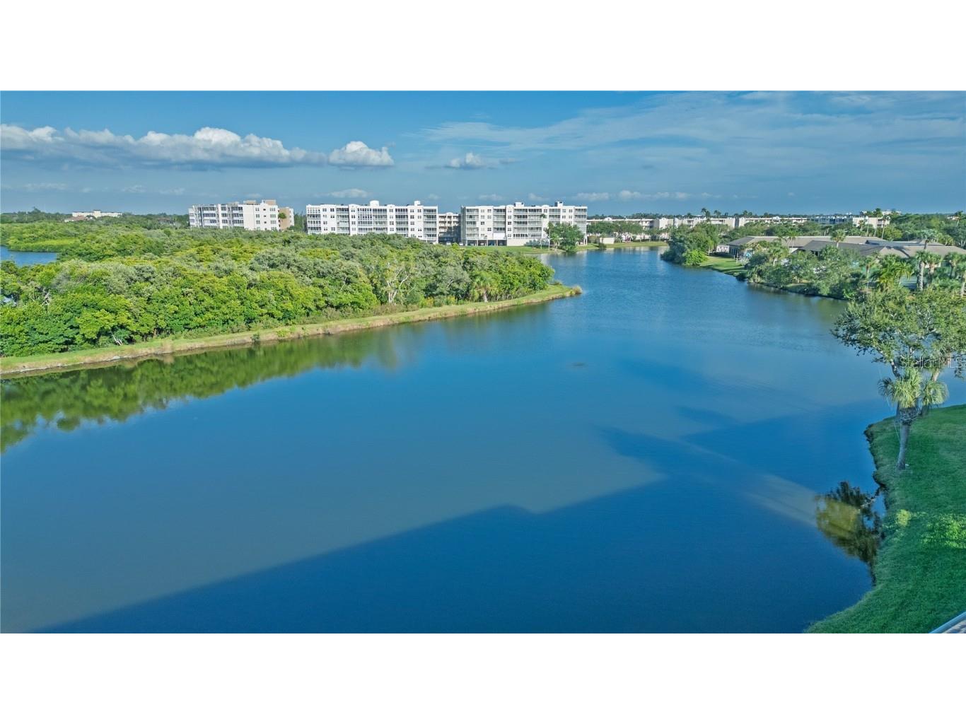 6401 99th Way N #15C Saint Petersburg FL 33708 TB8442789 image20