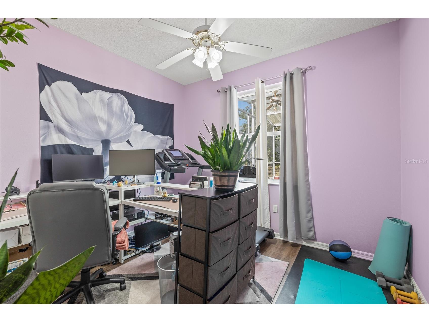 6401 Grapewood Road Spring Hill FL 34609 W7886817 image16