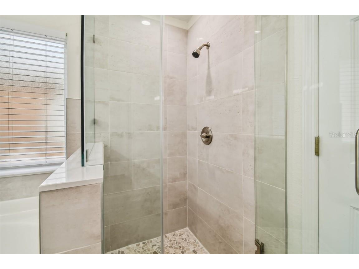 6401 Pine Top Way Wesley Chapel FL 33545 TB8457922 image19