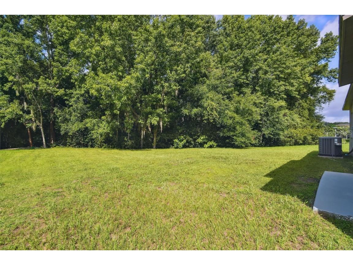 6401 Pine Top Way Wesley Chapel FL 33545 TB8457922 image39