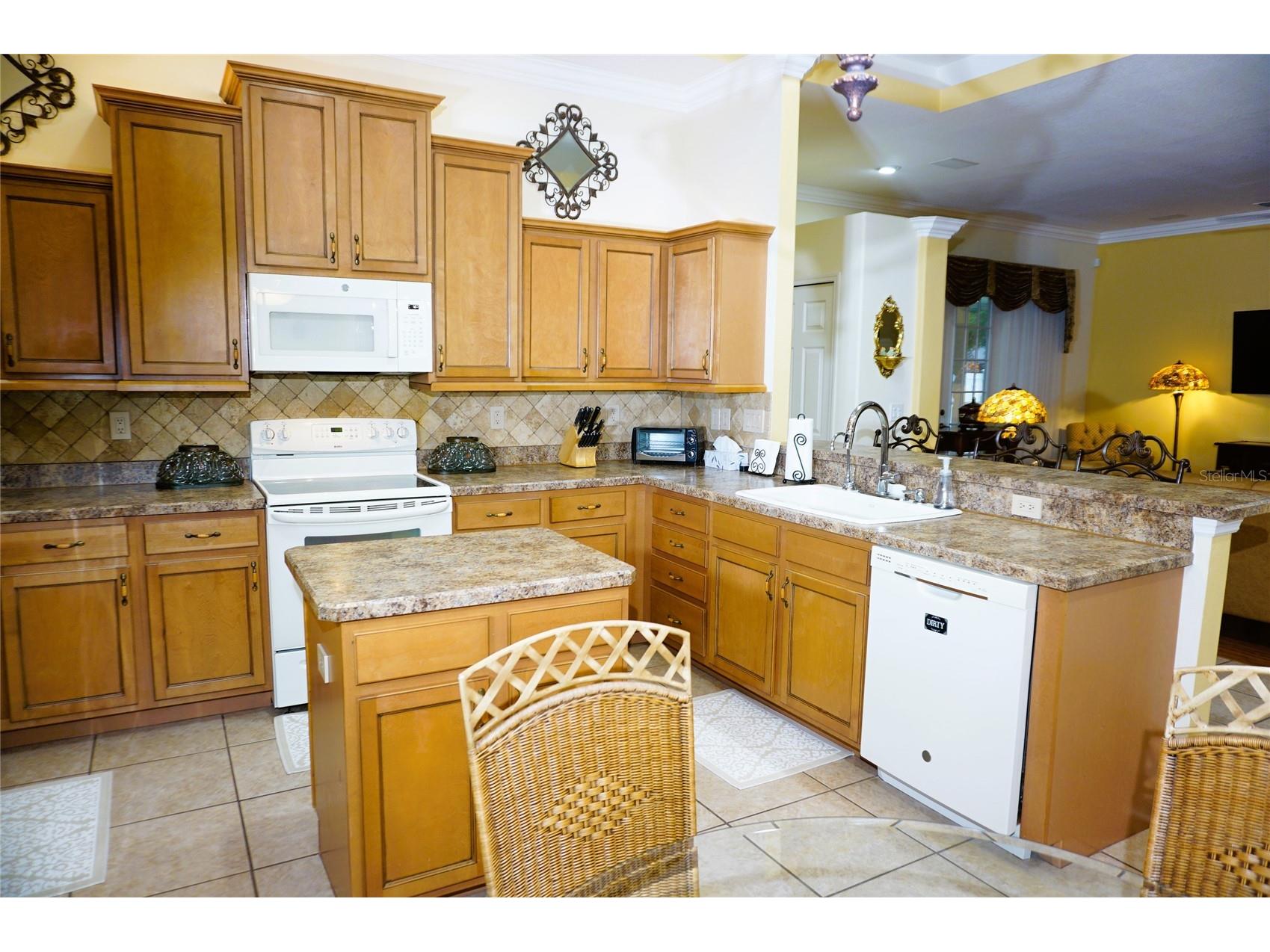 6402 Barcellona Road Land O Lakes FL 34637 W7885606 image10