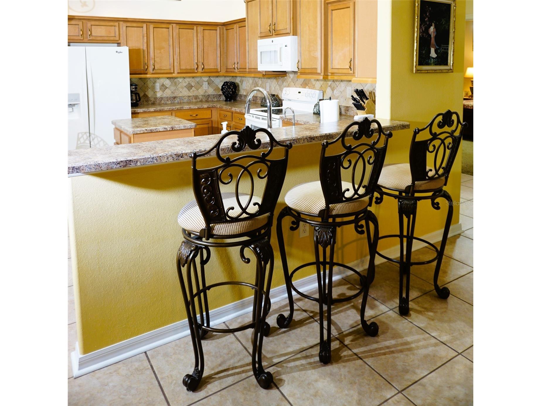 6402 Barcellona Road Land O Lakes FL 34637 W7885606 image15