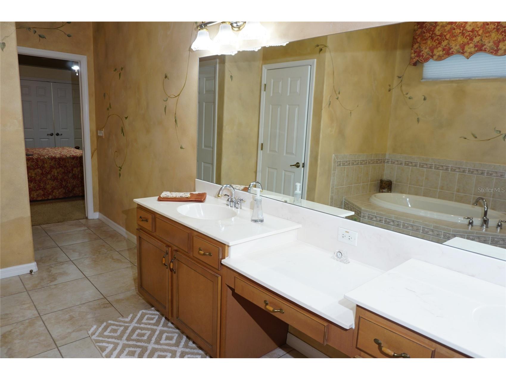 6402 Barcellona Road Land O Lakes FL 34637 W7885606 image26