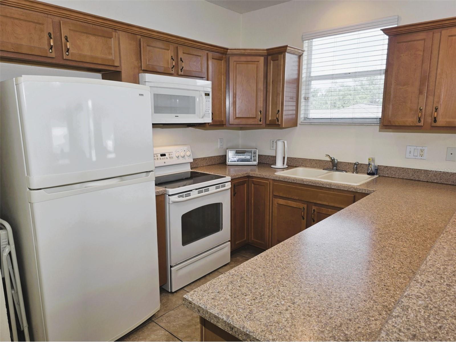 6402 Barcellona Road Land O Lakes FL 34637 W7885606 image55