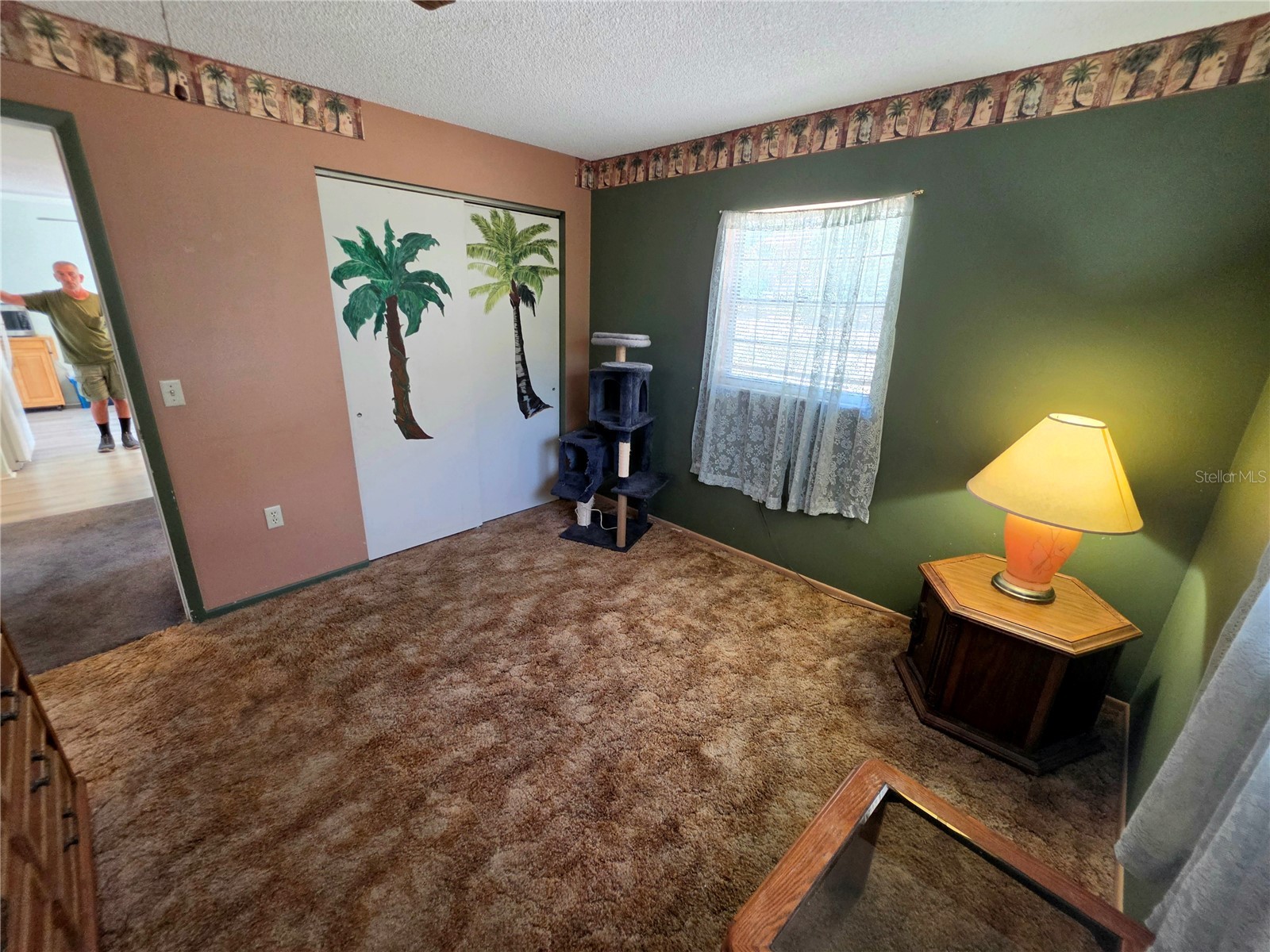 6402 Covewood Drive Spring Hill FL 34609 TB8517513 image12