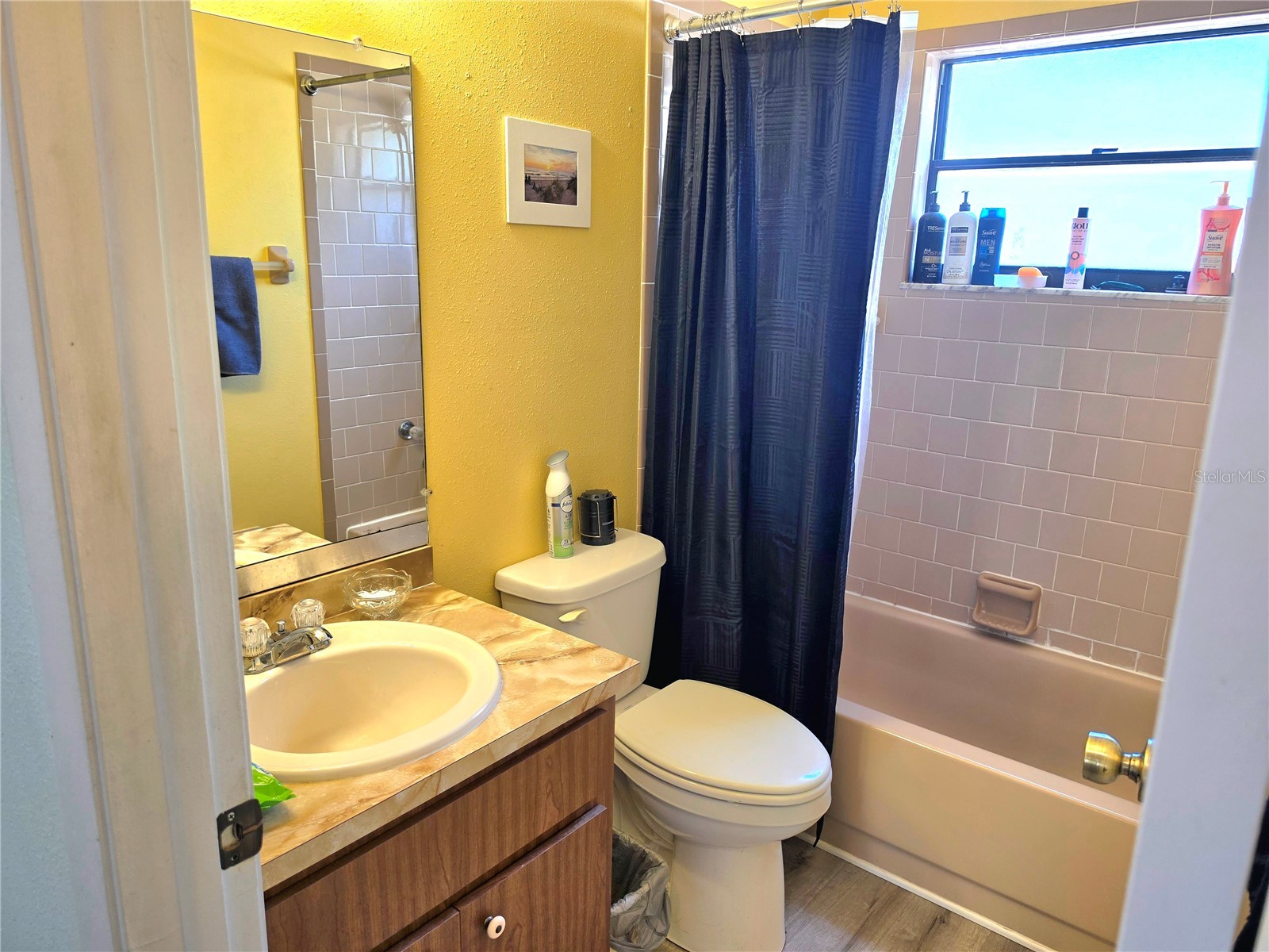 6402 Covewood Drive Spring Hill FL 34609 TB8517513 image13