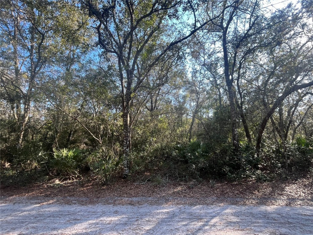 6402 E Grantham Court Hernando FL 34442 OK223754 image1