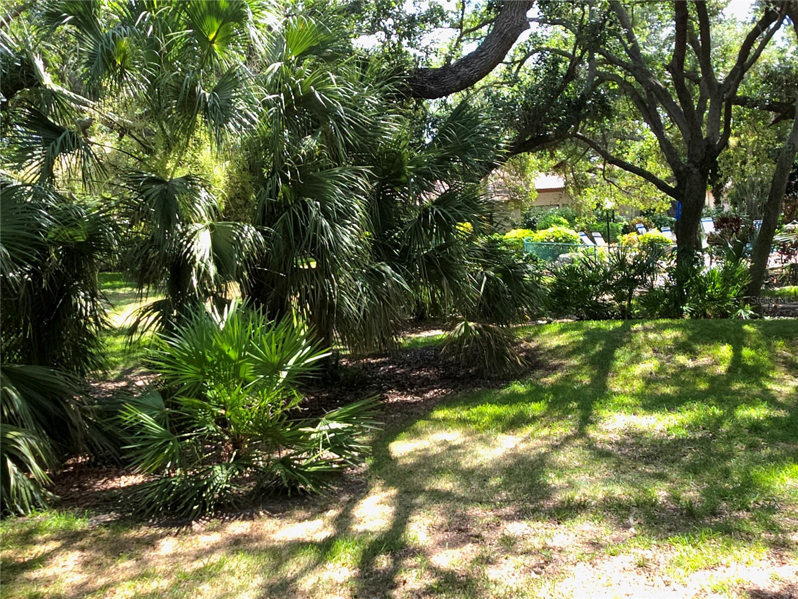 6402 Meadowlark Ln Bradenton FL 34210 A4698200 image51