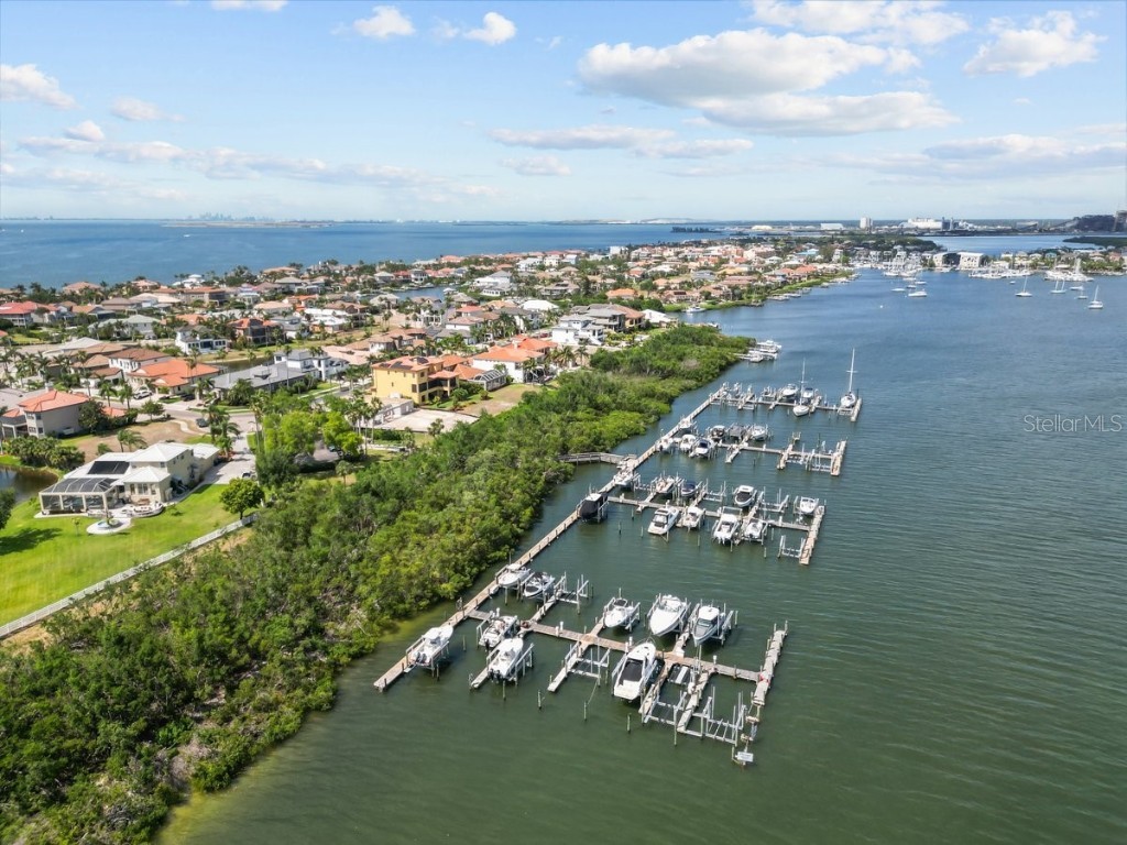 6402 Rubia Circle Apollo Beach FL 33572 TB8441112 image28