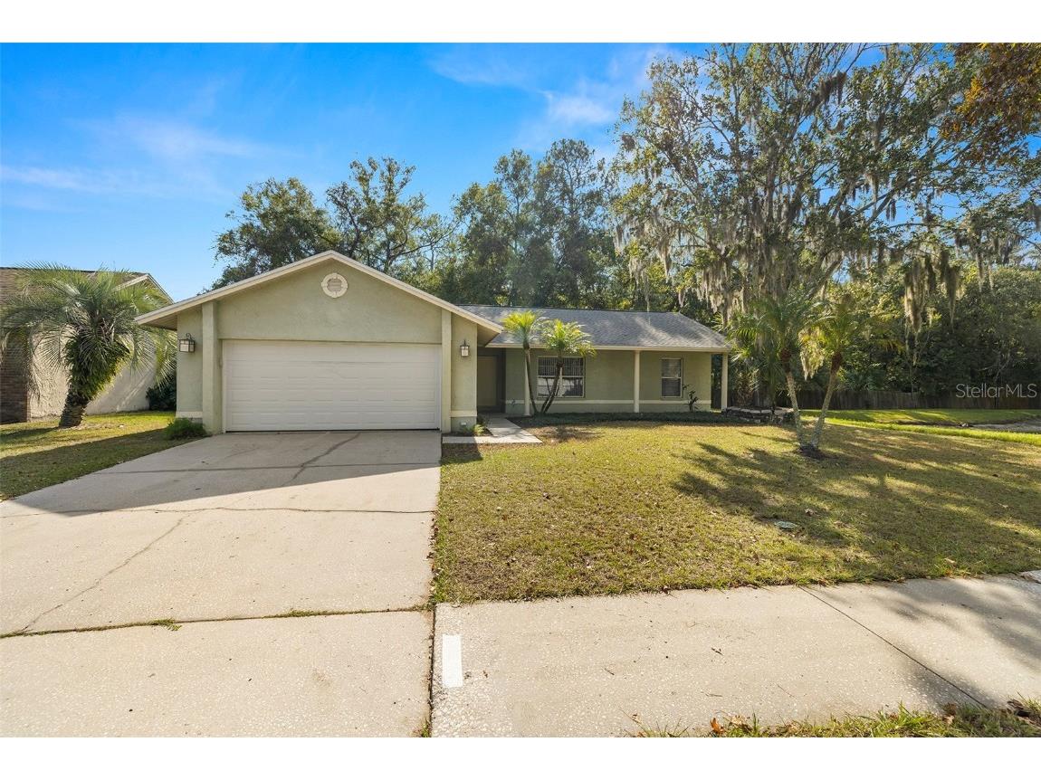 6402 Turtle Creek Boulevard Tampa FL 33625 T3489146 image1