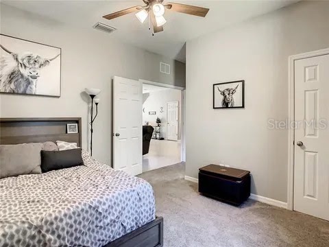 6402 Yellow Buckeye Drive Riverview FL 33578 TB8487082 image24
