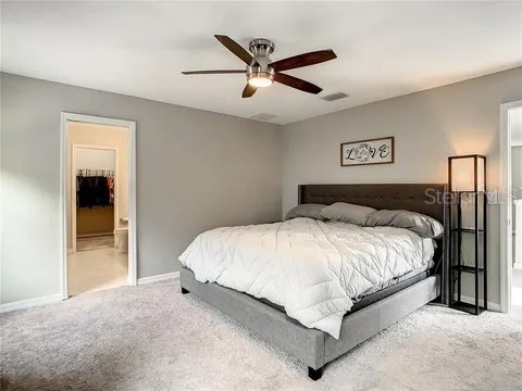 6402 Yellow Buckeye Drive Riverview FL 33578 TB8487082 image26