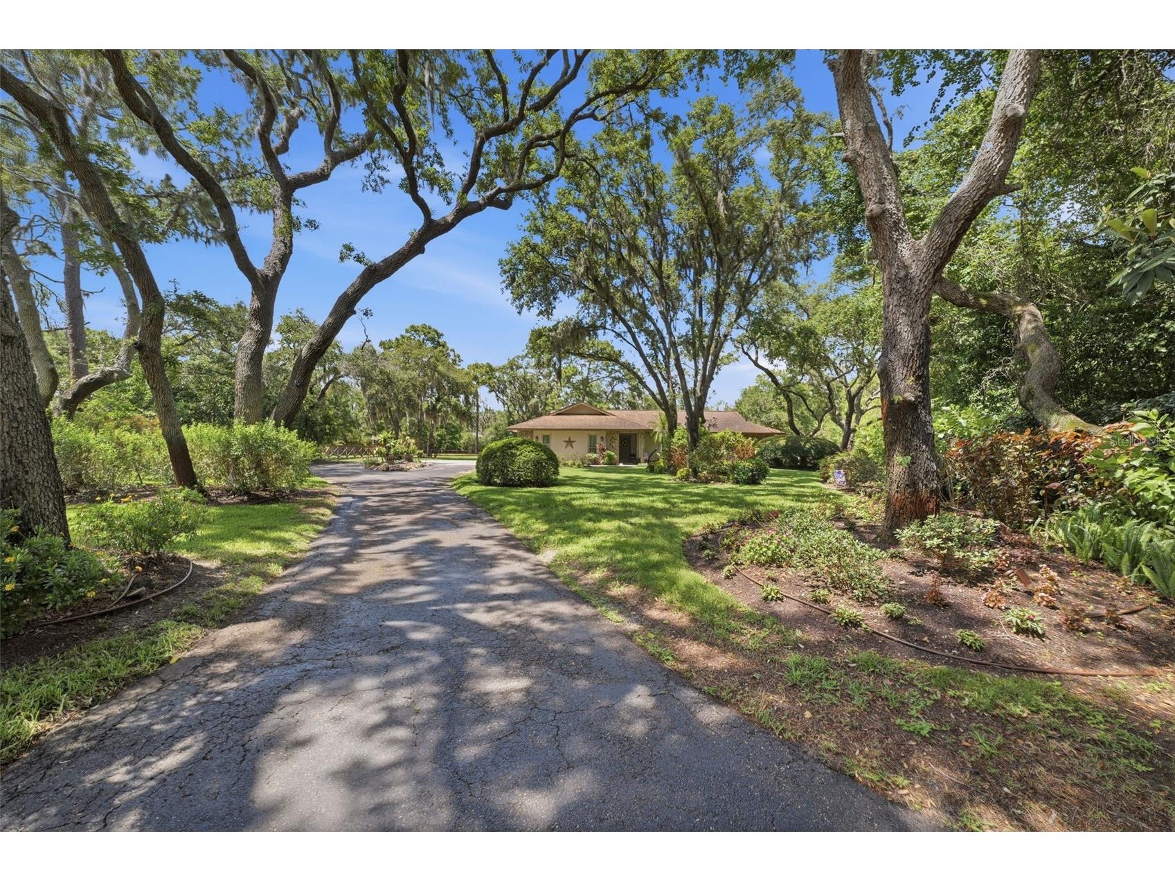 6403 Chiswick Court New Port Richey FL 34655 L4962049 image3