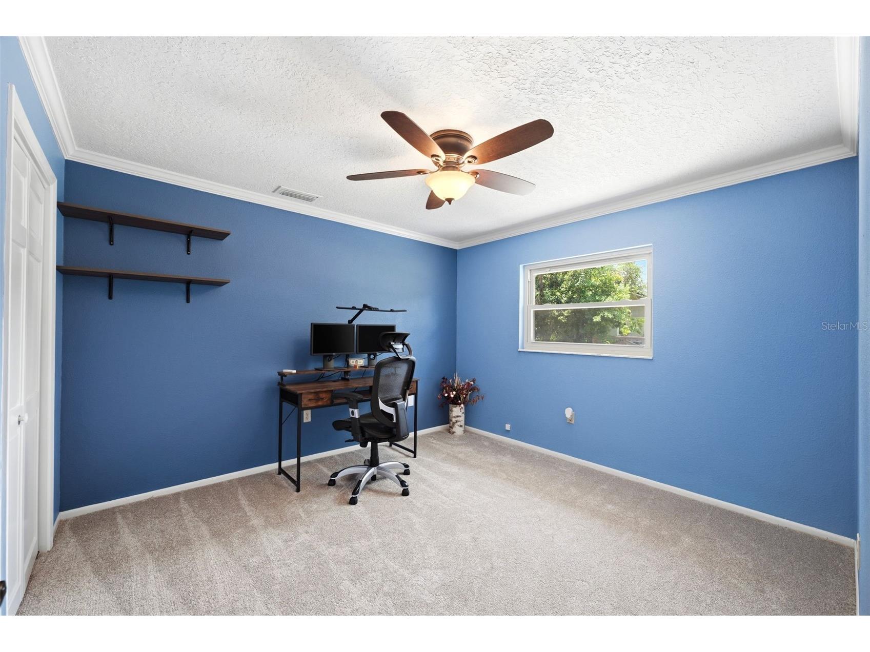 6403 Chiswick Court New Port Richey FL 34655 L4962049 image39