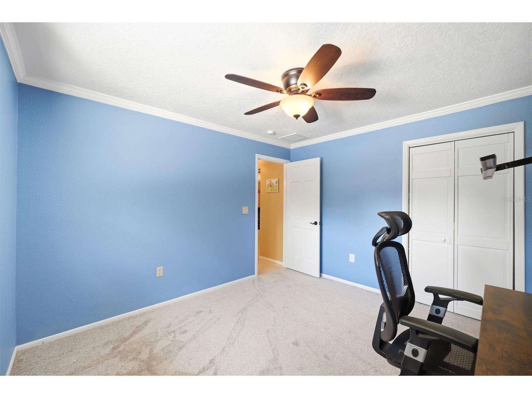 6403 Chiswick Court New Port Richey FL 34655 L4962049 image40