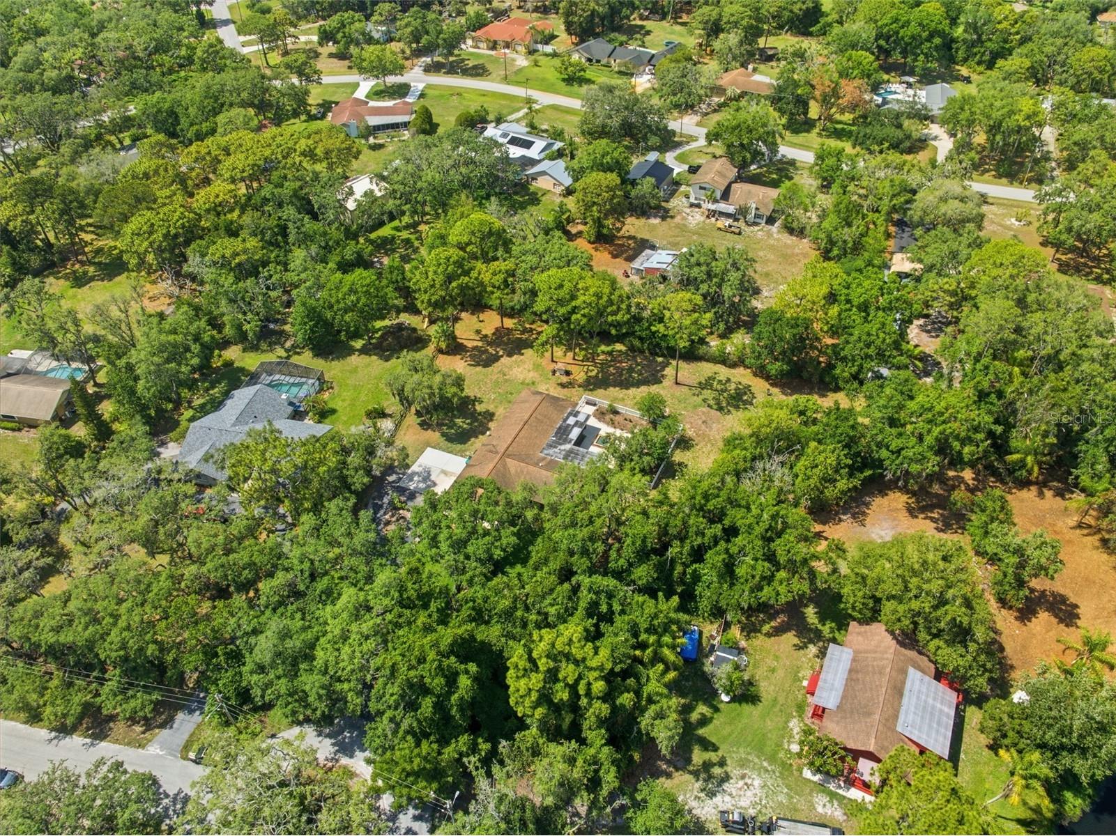 6403 Chiswick Court New Port Richey FL 34655 L4962049 image76
