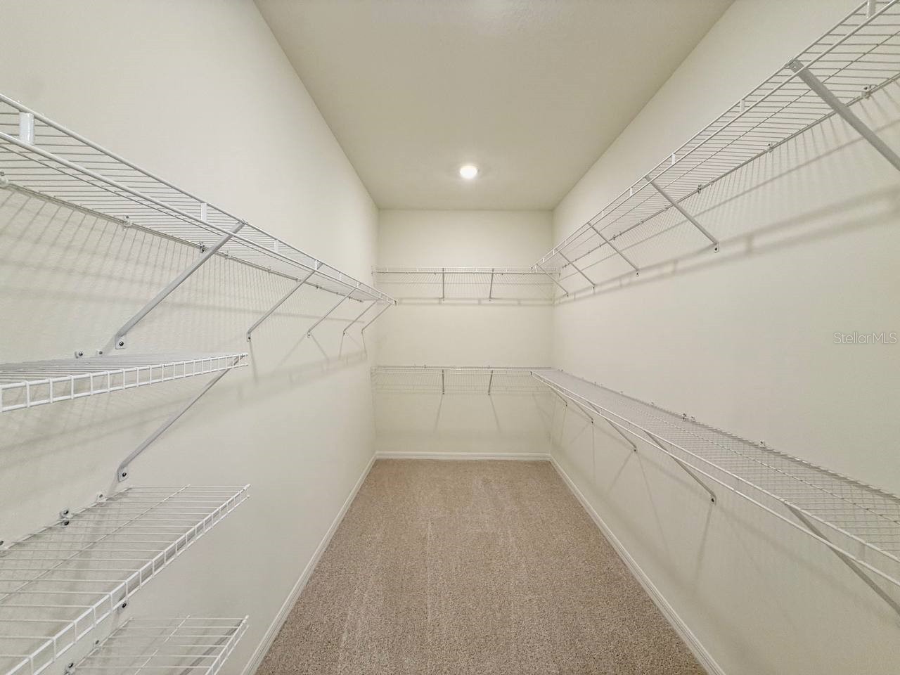 6404 Jensen View Avenue Apollo Beach FL 33572 TB8525035 image28