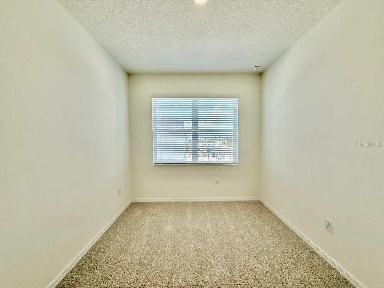 6404 Jensen View Avenue Apollo Beach FL 33572 TB8525035 image29