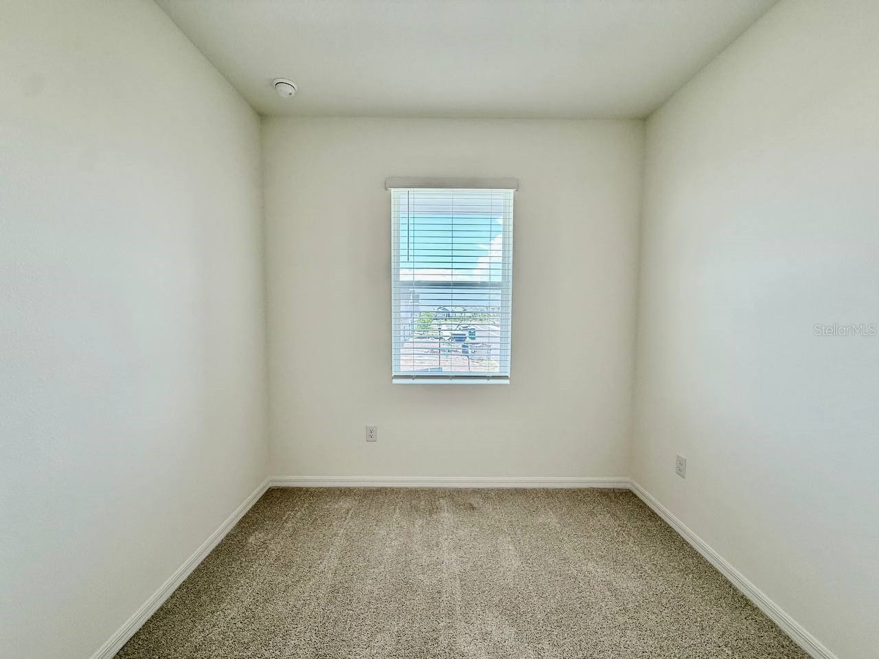 6404 Jensen View Avenue Apollo Beach FL 33572 TB8525035 image31