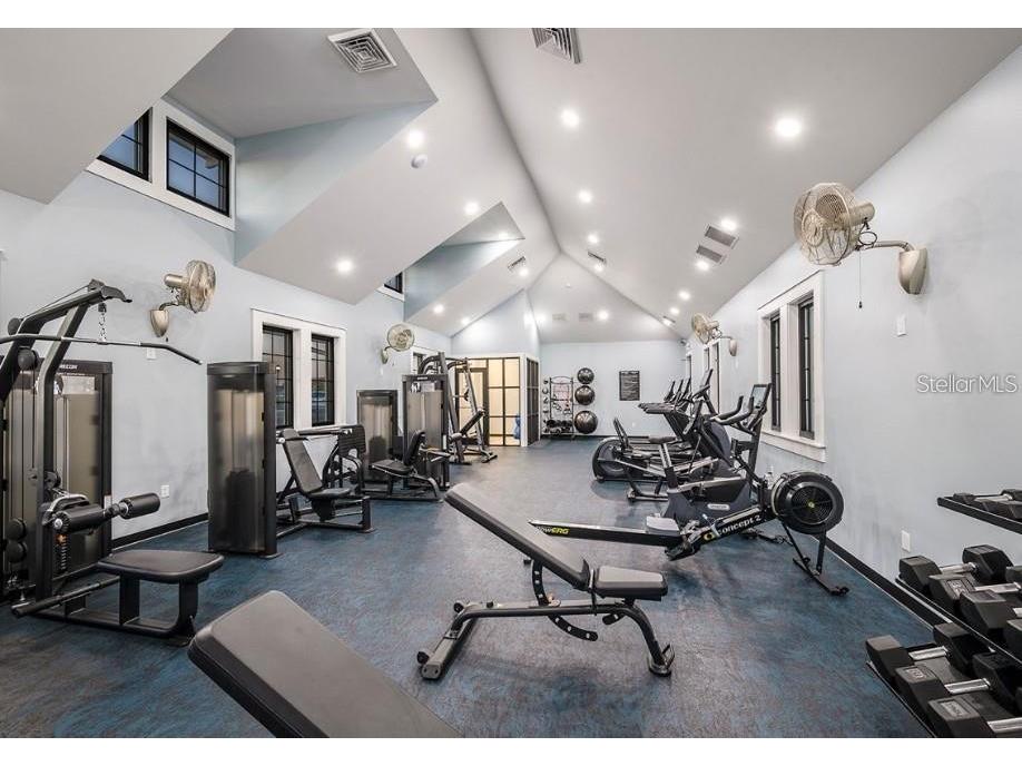 6404 Jensen View Avenue Apollo Beach FL 33572 TB8525035 image45
