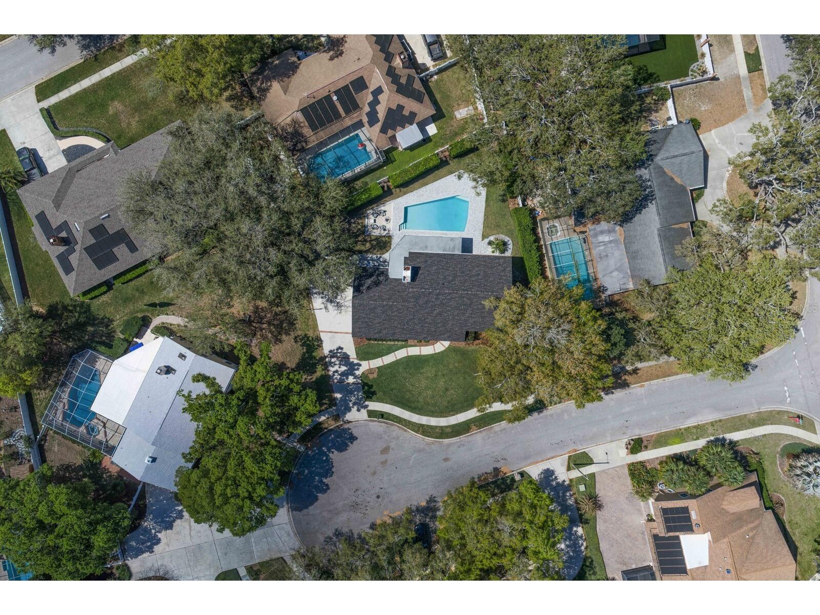 6404 Josephine Arbor Place Temple Terrace FL 33617 TB8483344 image5