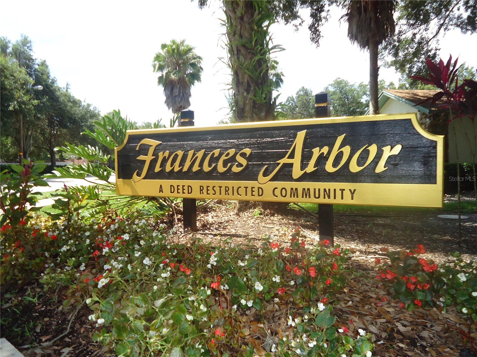 6404 Josephine Arbor Place Temple Terrace FL 33617 TB8483344 image77